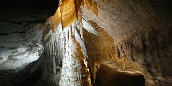The Charleston GlowWorm Cave Tour