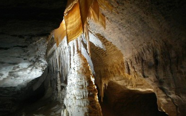 The Charleston GlowWorm Cave Tour