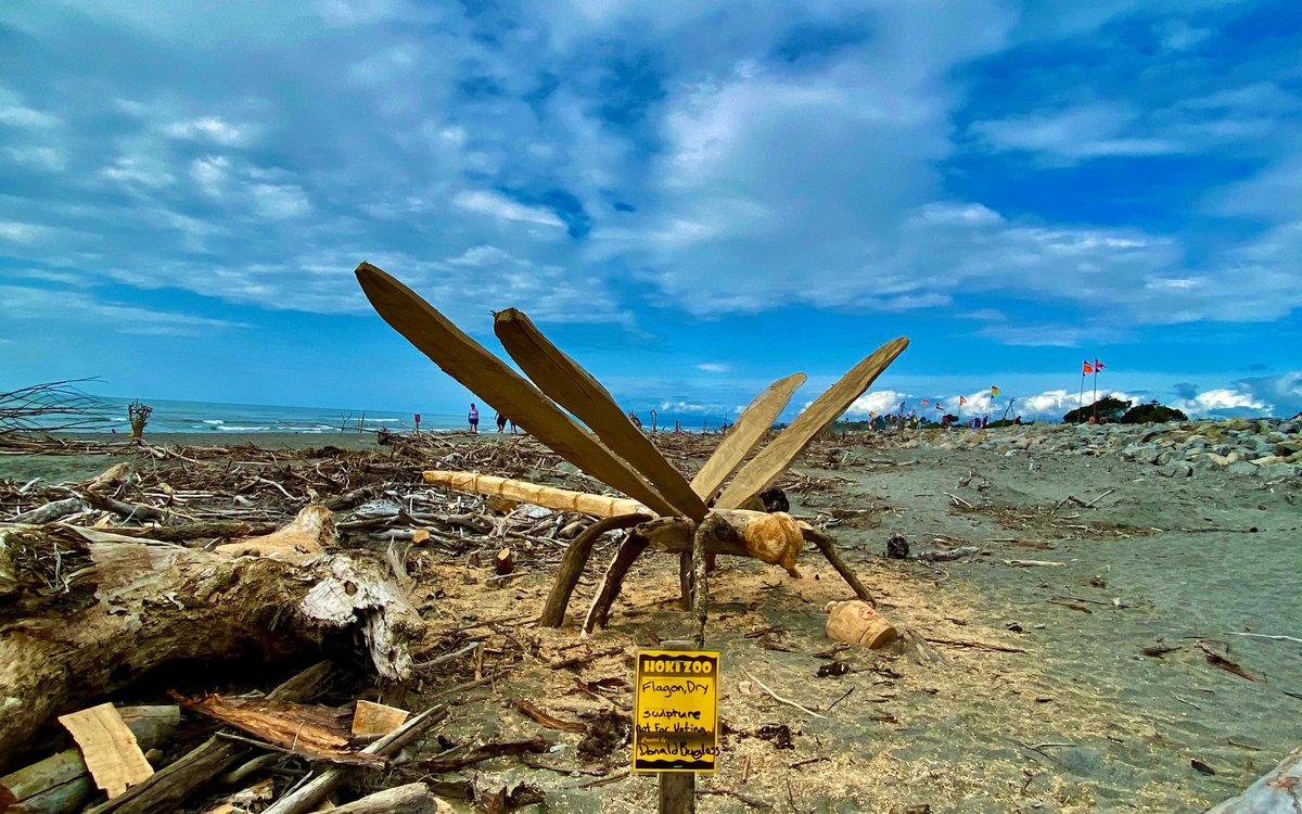 1. Driftwood 3.jpg