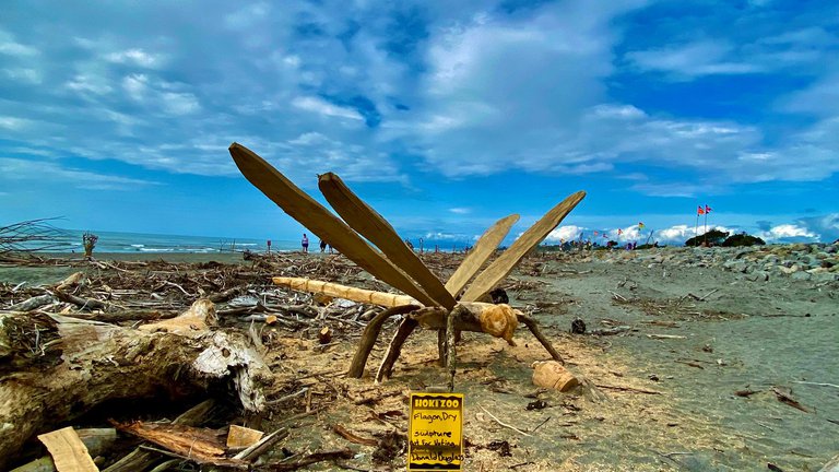 1. Driftwood 3.jpg