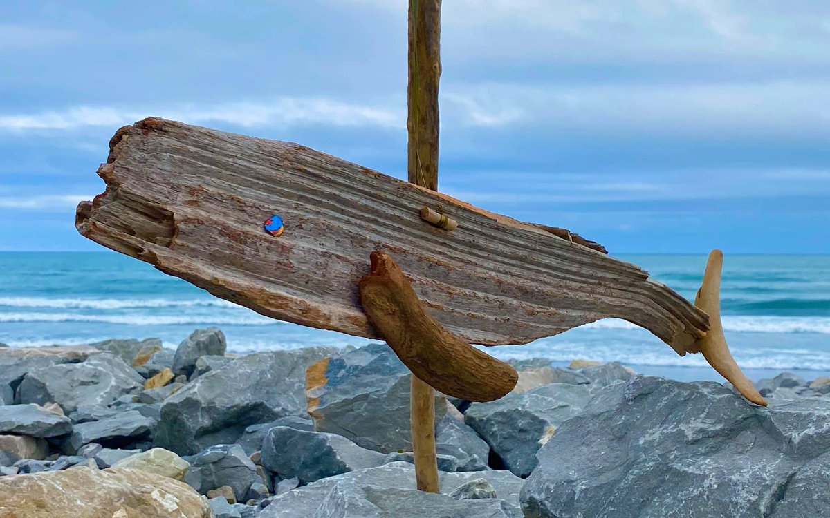 1 Driftwood 2.jpg