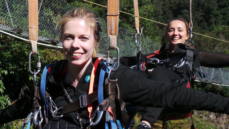 Buller Swing 2
