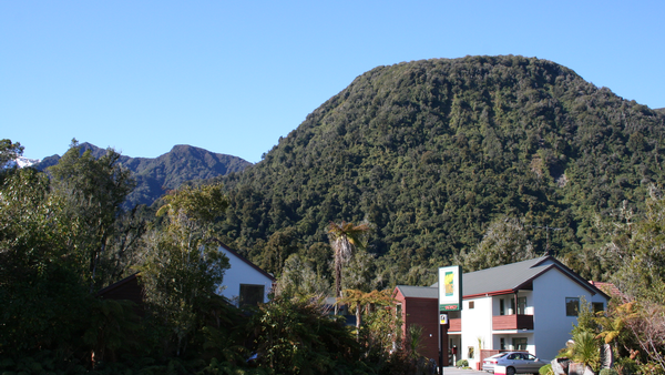 Punga Grove