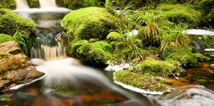 Karamea Oparara