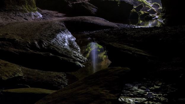 Gloworm Cave tour
