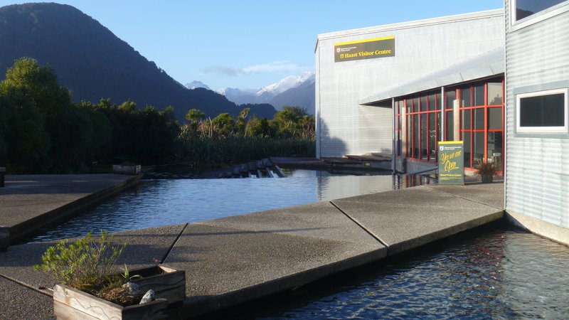 Conservation Centre Haast 2018