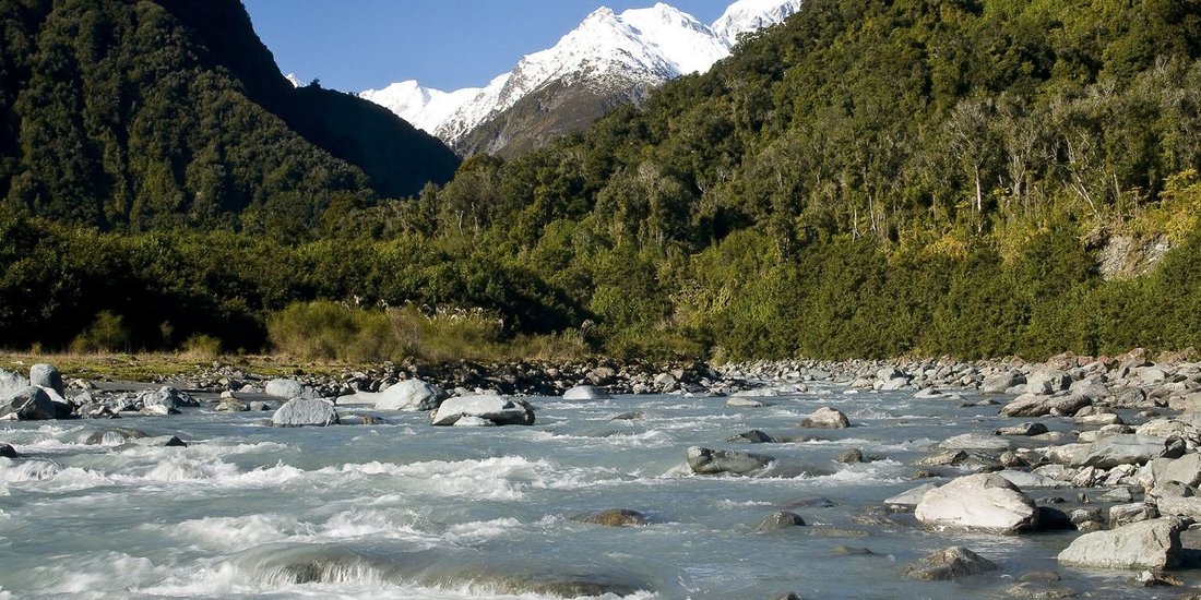 Fox Glacier