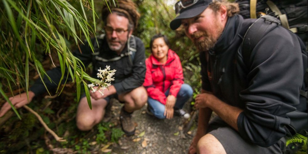 Glacier Valley Eco Tours