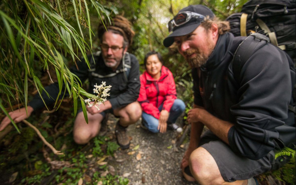 Glacier Valley Eco Tours