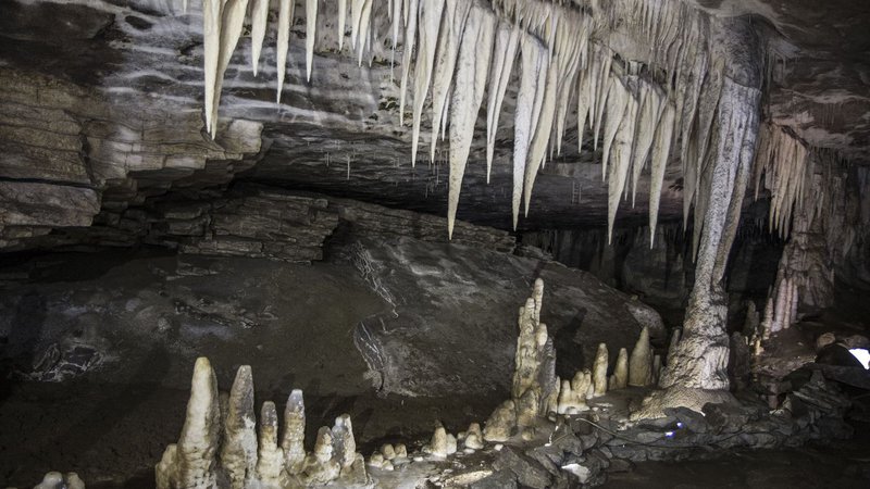 Gloworm Cave Tour