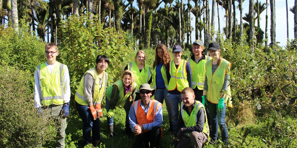 Punakaiki Coastal Restoration Project