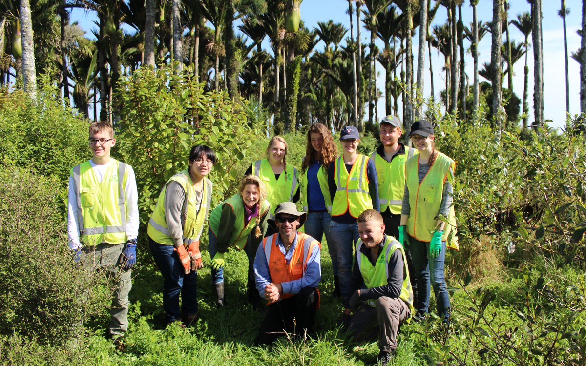 Punakaiki Coastal Restoration Project