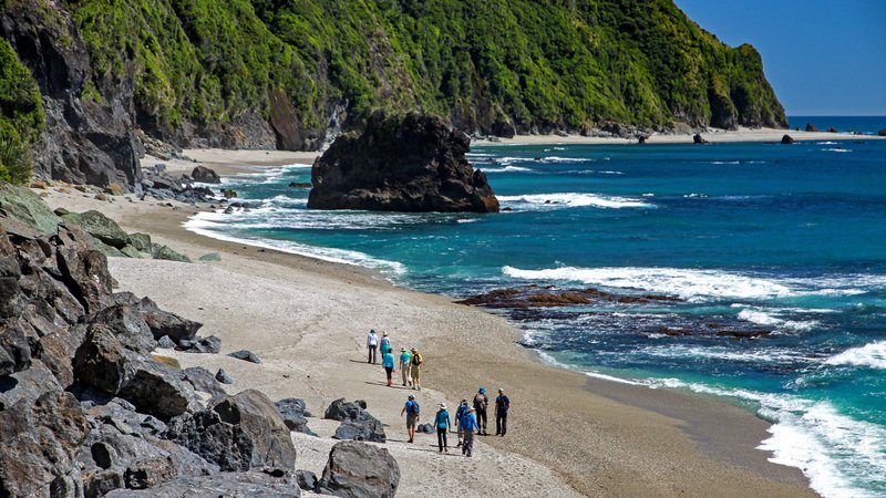 Group walking wild seacoast.jpg