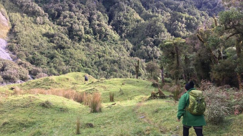 Guided-Cultural-Walks-Hokitika.JPG
