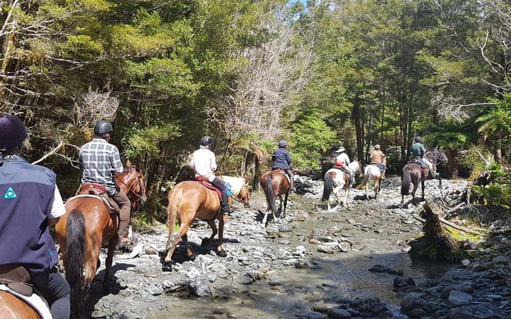 Haast Horse Trek.jpg