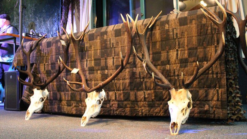 Hard Antler Bar & Restaurant - Haast