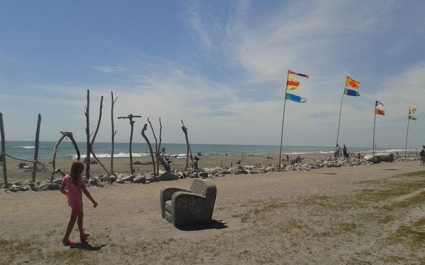 Driftwood & Sand: girl, flags, seat, sign