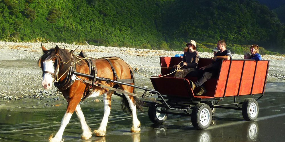 Horse wagon tours