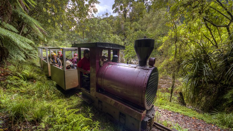 Rainforest Train