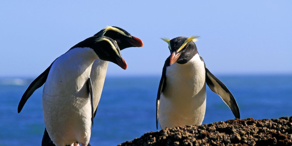 Wilderness Lodge Moeraki