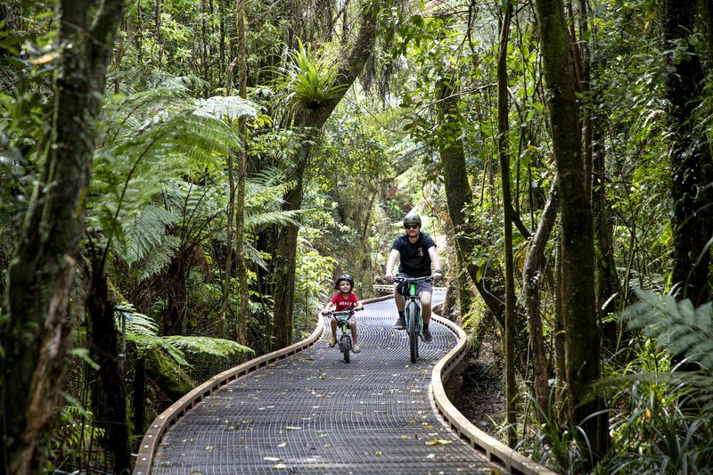 Kawatiri Trail.JPG