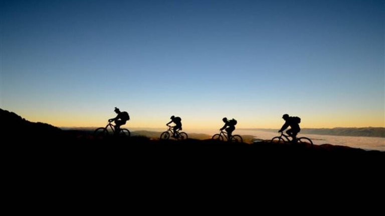 Mountain Bike Craig Madsen