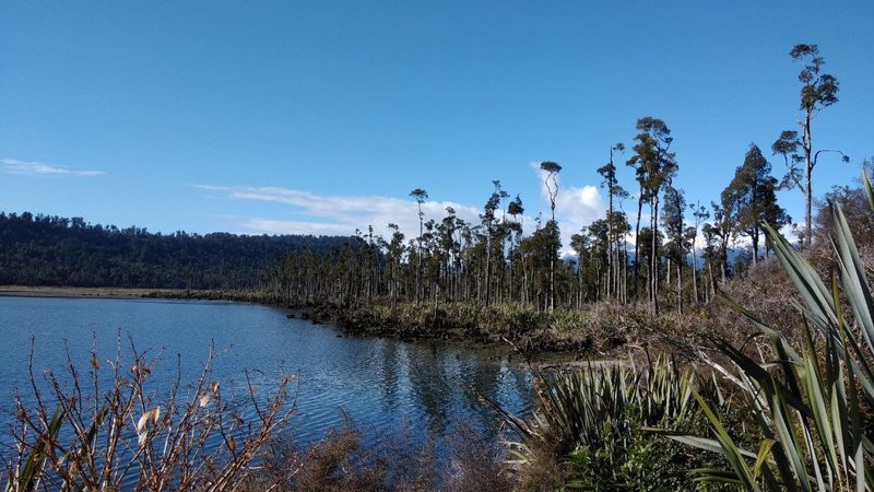 Hokitika Scenic Tours - Lake Mahinapua