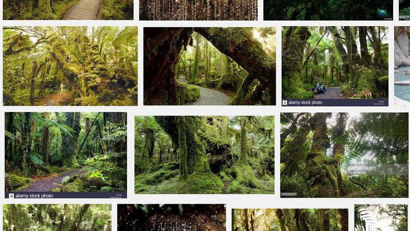 Minnehaha Google Image Search