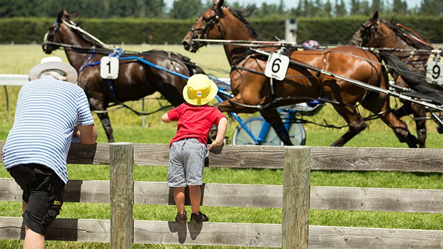 races