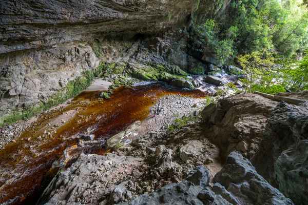 Oparara Arches in Karamea - New Zealand - 1570