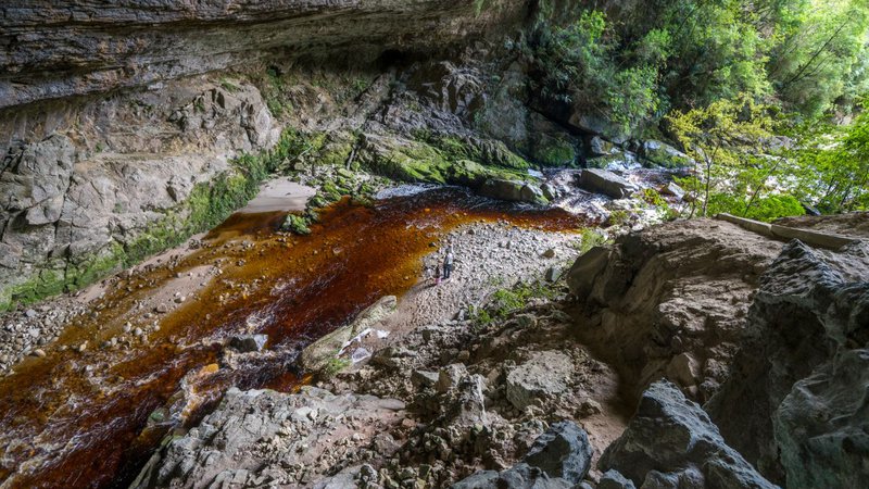 Oparara Arches in Karamea - New Zealand - 1570