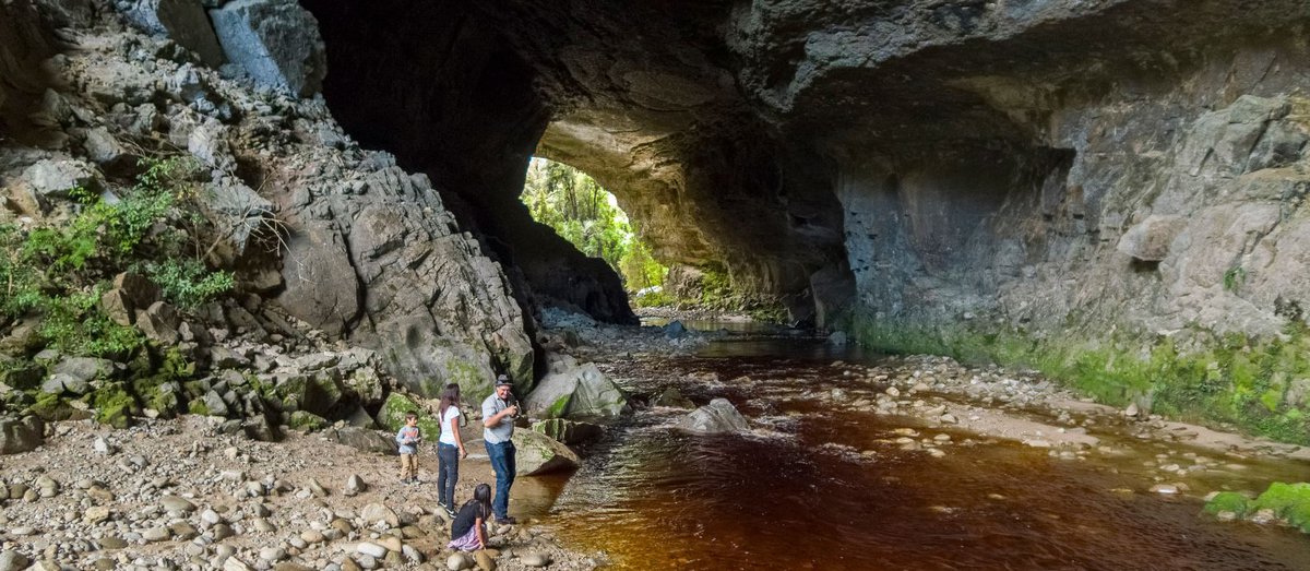 Oparara Arches in Karamea - New Zealand - 0173