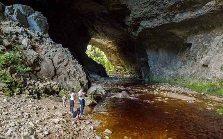 Oparara Arches in Karamea - New Zealand - 0173