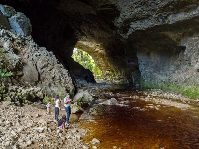 Oparara Arches in Karamea - New Zealand - 0173