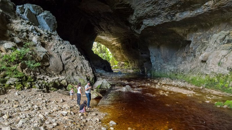 Oparara Arches in Karamea - New Zealand - 0173