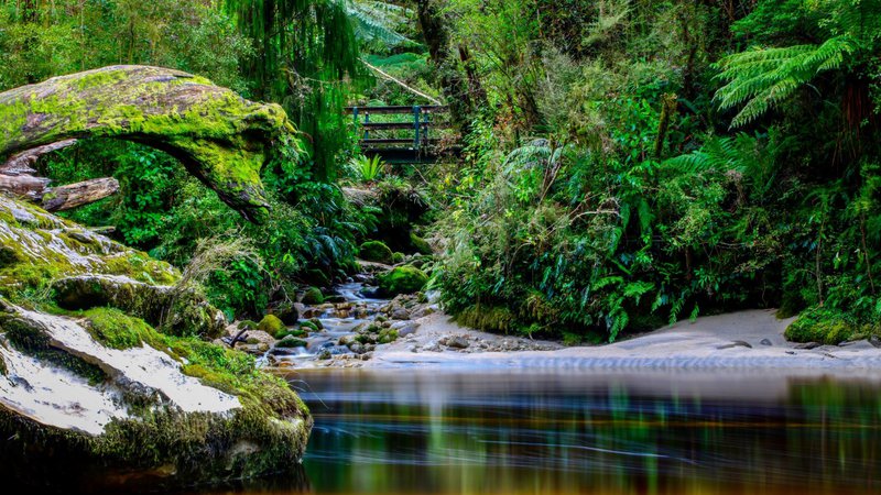 Oparara Arches