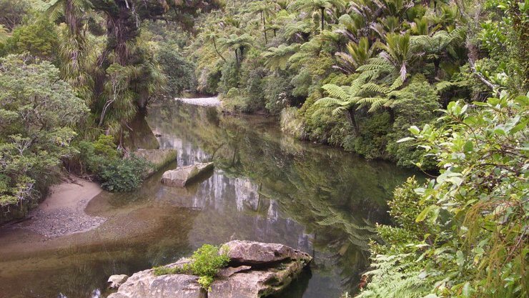 Punakaiki Canoes 3.jpg