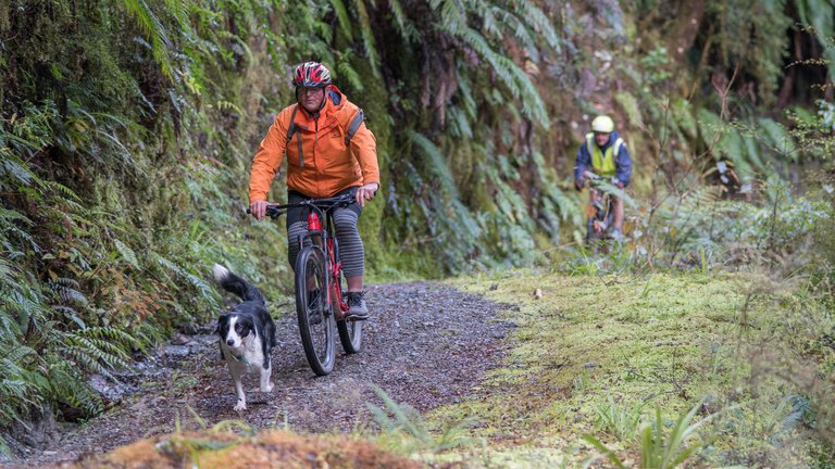 Reefton Mountain Biking