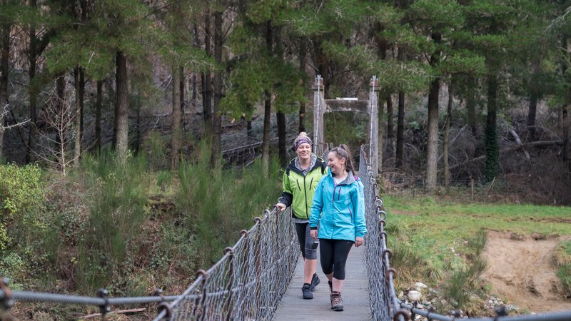 Reefton-Walks2.jpg