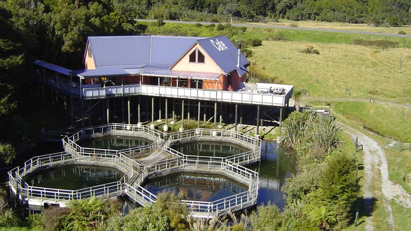 Salmon Farm