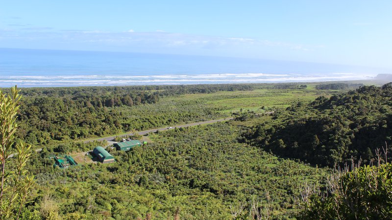 Punakaiki Coastal Restoration Project