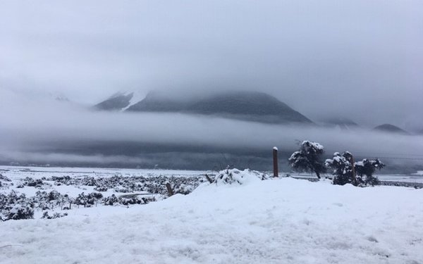 Snow.jpg