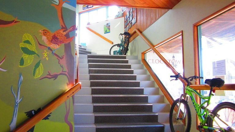 THE-BACKPACKER-GROUP-MOUNTAIN-JADE-HOKITIKA-STAIRS.jpeg