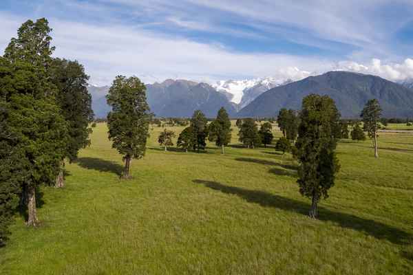 Tourism West Coast - Fox Glacier (19).jpg