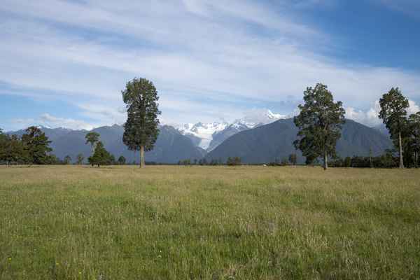 Tourism West Coast - Fox Glacier (95).jpg