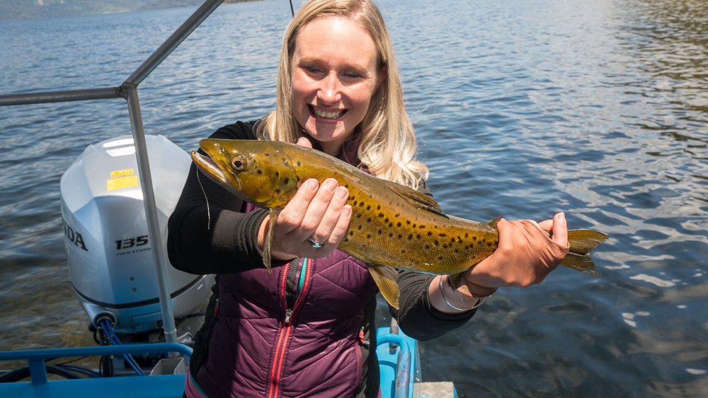 Trout fishing on Lake Brunner