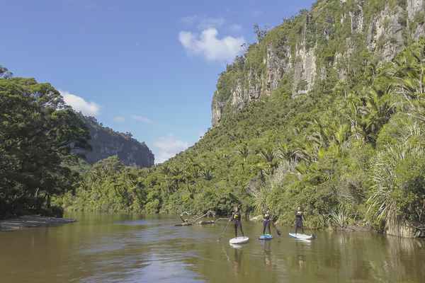 Punakaiki