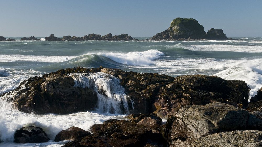 tauranga bay