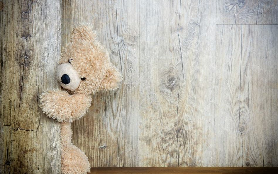 Teddy Bear.JPG