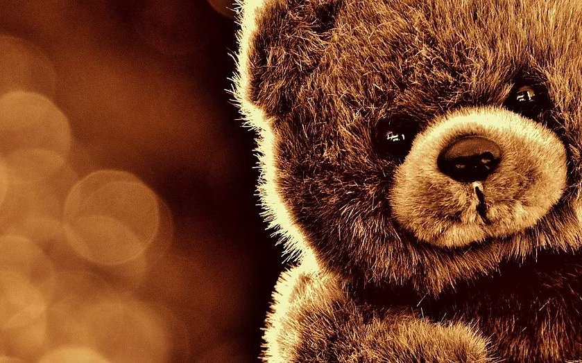 Teddy Bear 2.JPG